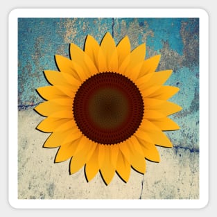 Sunflower on Teal & Cream Distressed Background Home Decor Gifts Sticker